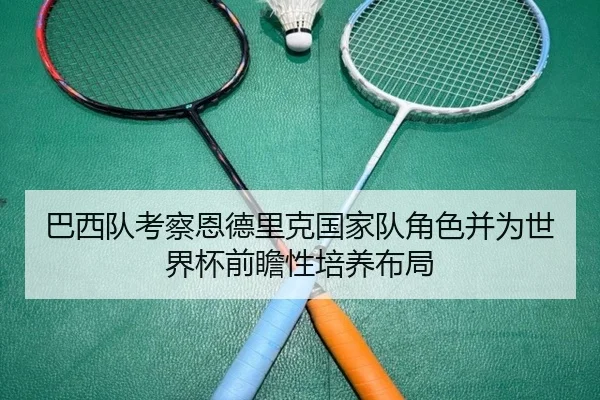 巴西队考察恩德里克国家队角色并为世界杯前瞻性培养布局